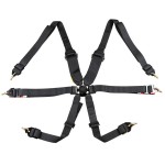 ZAMP- 6-Point FIA Camlock Racing Harness - A7023